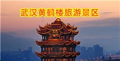 日小穴视频
